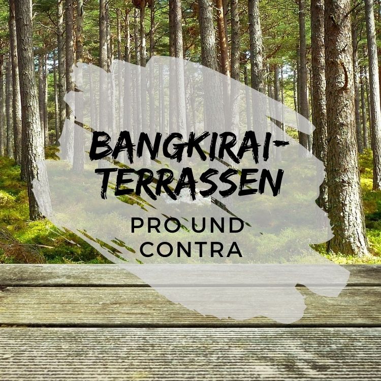 Bangkirai-Terrasse-Pro-und-Contra