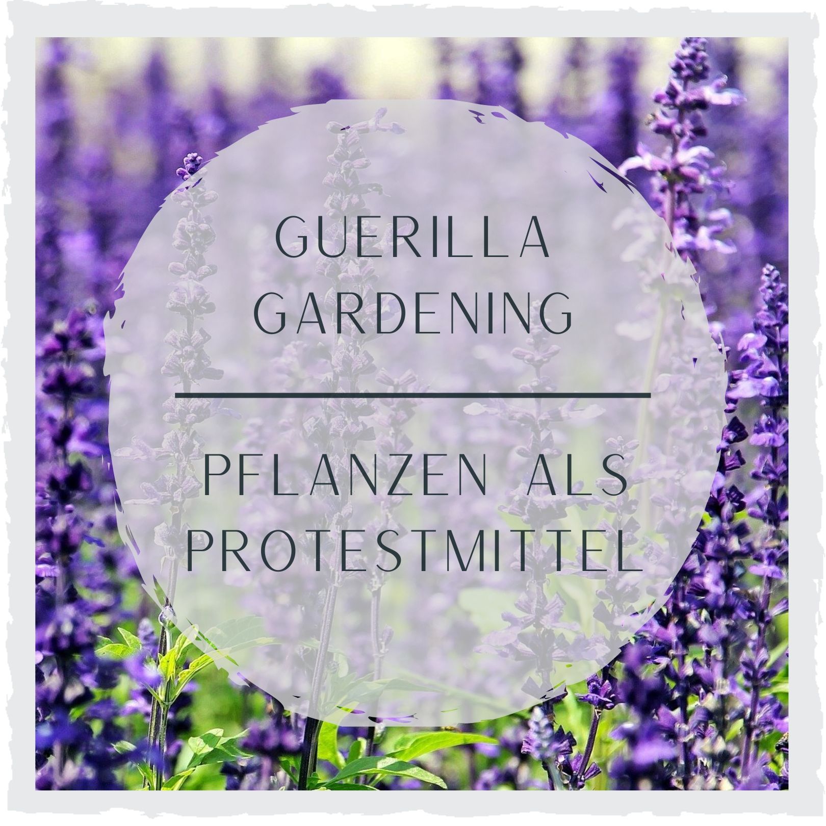 Guerilla-Gardening