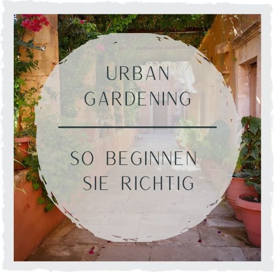 Urban-Gardening